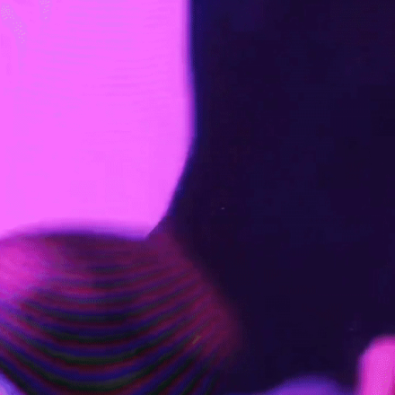 Adelina Daraban - Track and Field Athlete - Hottest Female Athletes